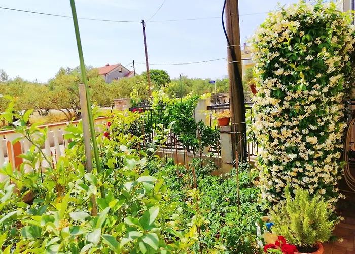 Apartman Brkovic *