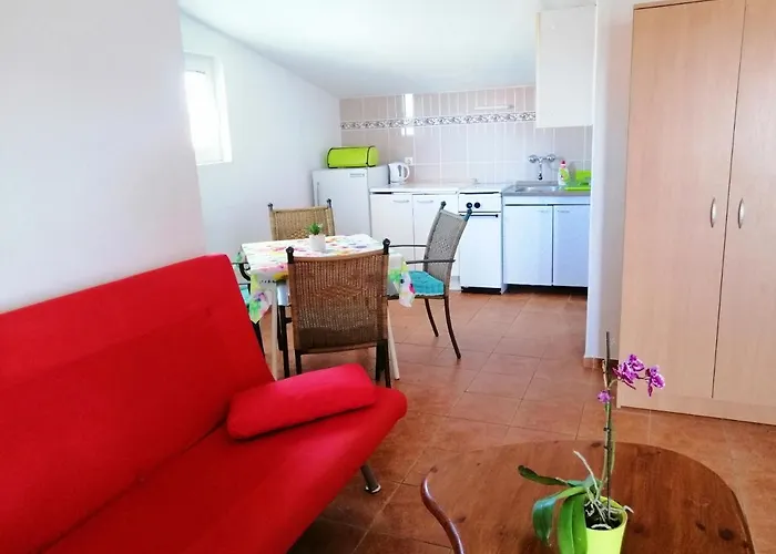 Apartament Brkovic *