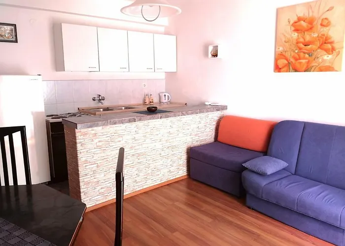 Brkovic Apartament