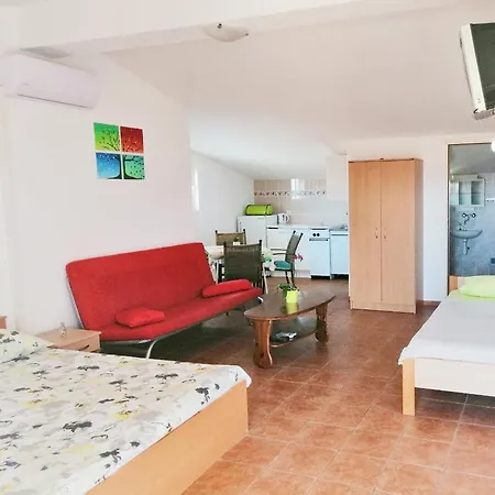 Apartment Brkovic *