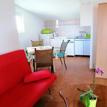 Apartment Brkovic *